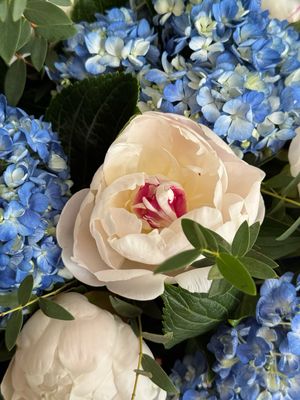 Bouquet with Peonies and Hydrangeas