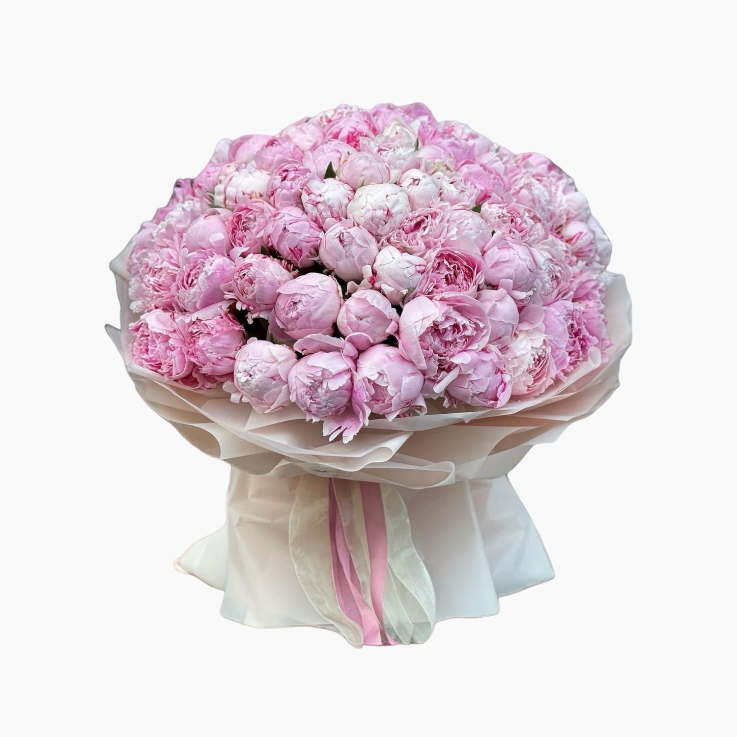 Bouquet of peonies