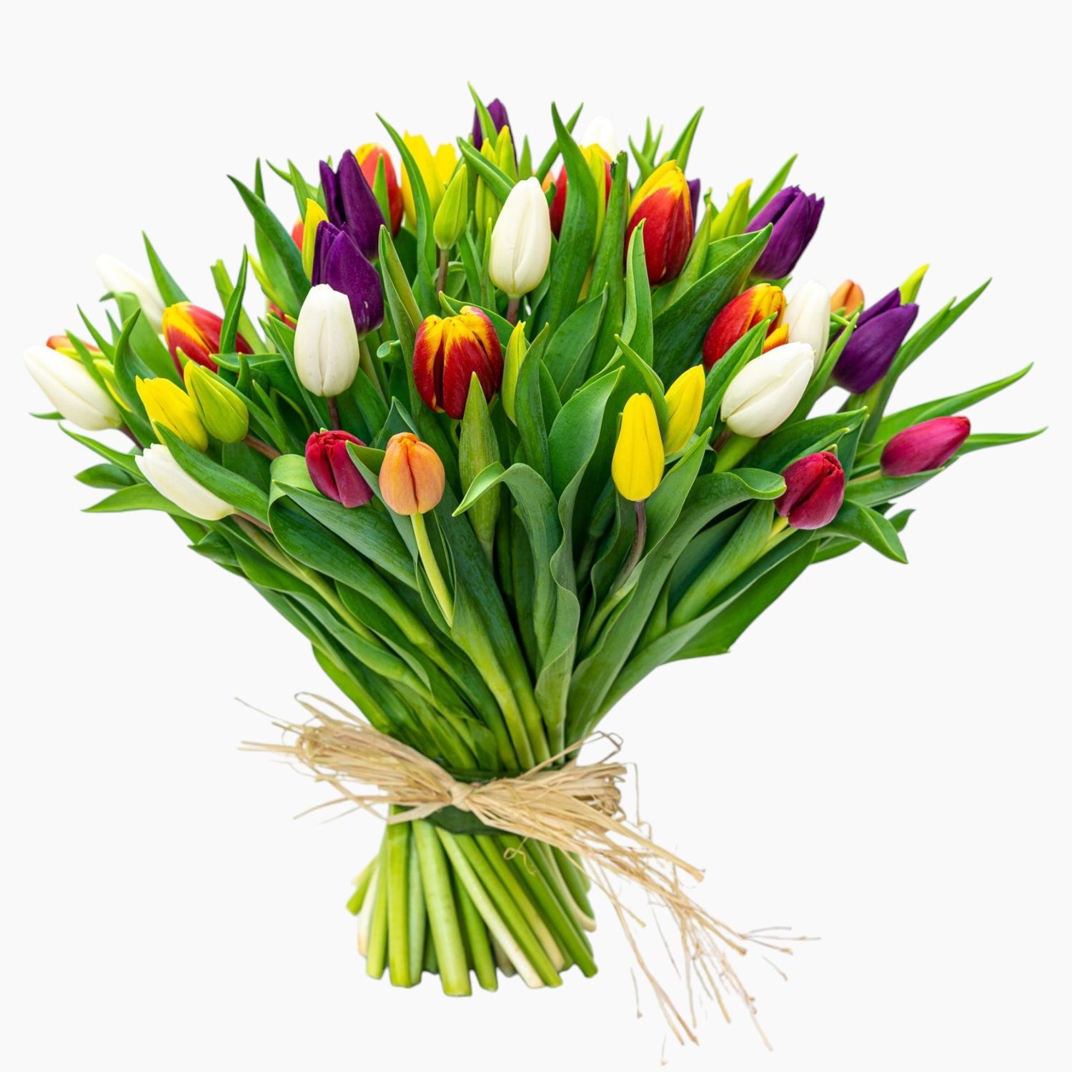 Spring Inspiration
