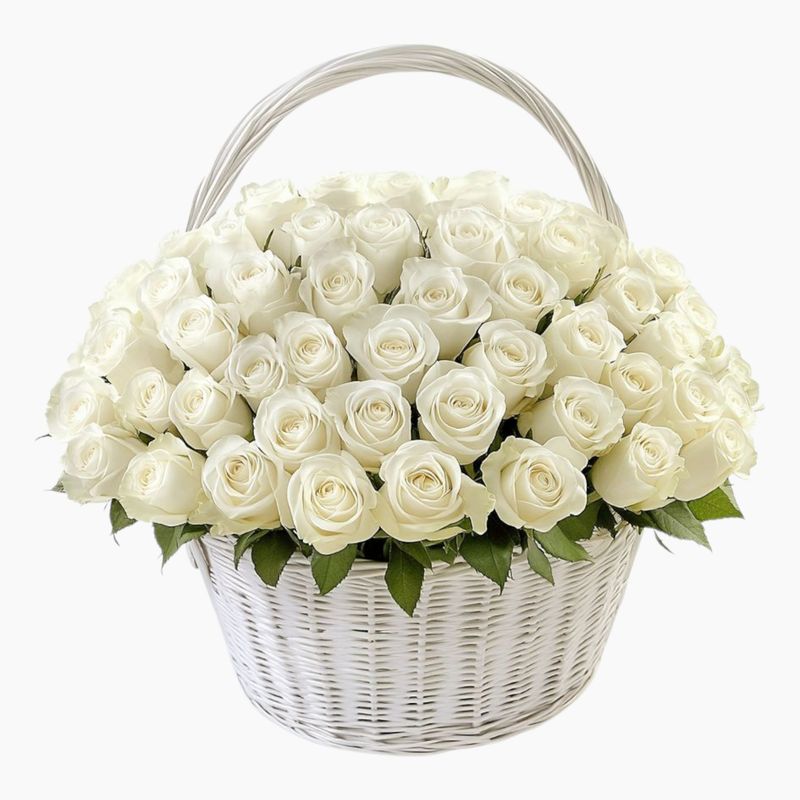 Composition in a basket of 50 white roses