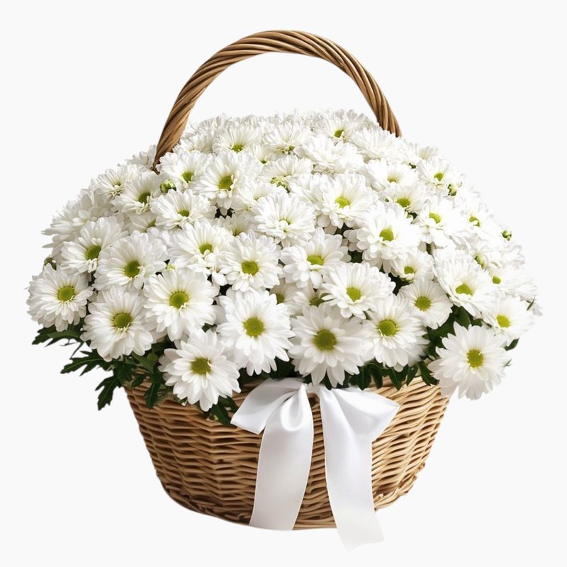 Composition with white chrysanthemum