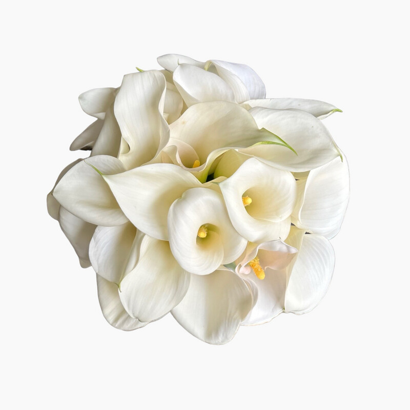 Bride's bouquet of white callas