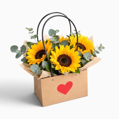 Sunshine for You