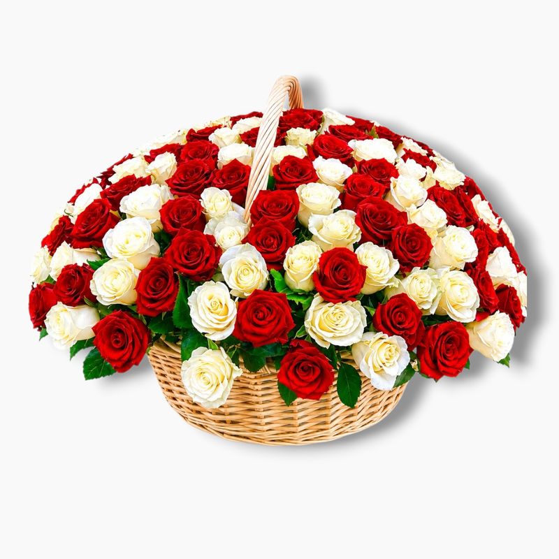 Classic composition of Roses