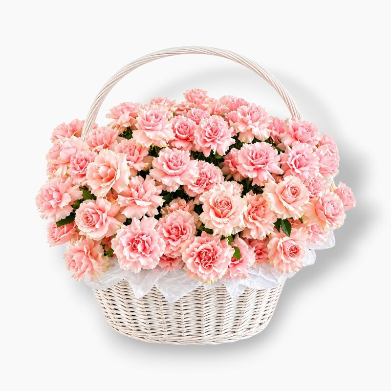 Luxury Basket