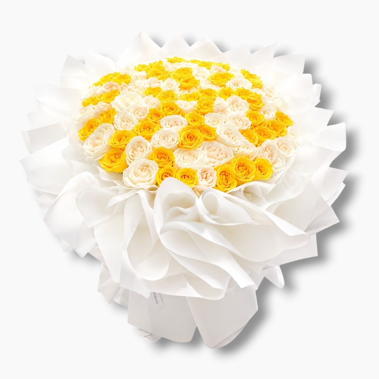 Sunny Tenderness