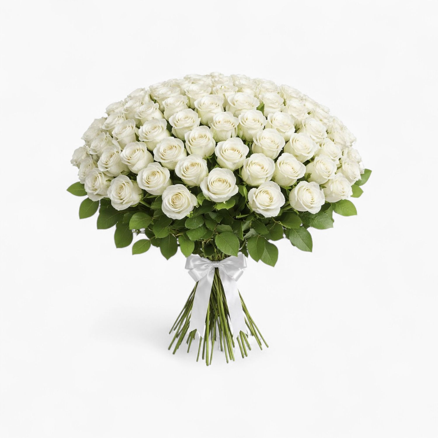 150 White roses