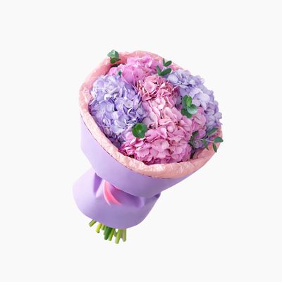 Lavender Blush Hydrangeas