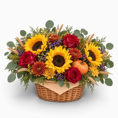 Autumn Harvest 🌻🍂