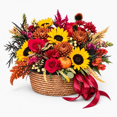 Autumn Harvest 🌻🍂