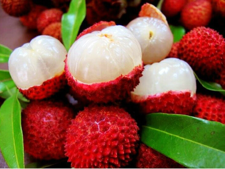 Unikátní složení