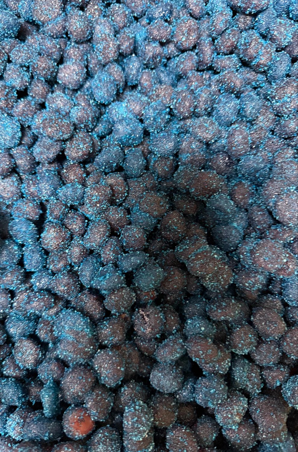 Blue Raspberry Sour Splashers