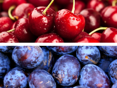 Obst
