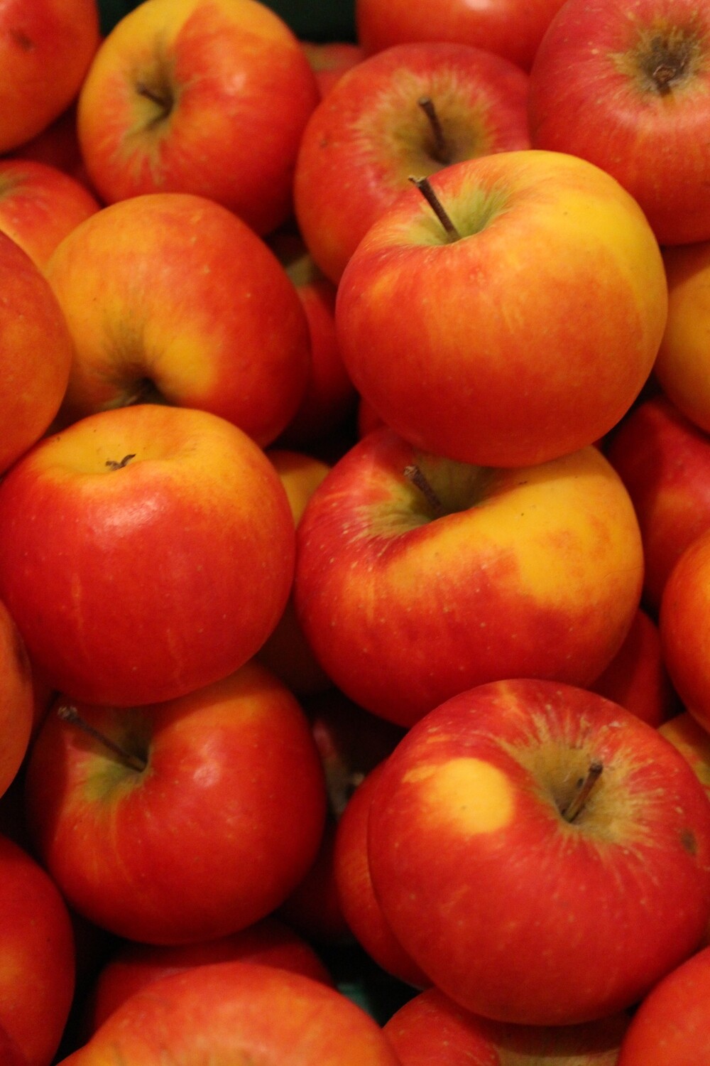 Apfel  1 Kg.