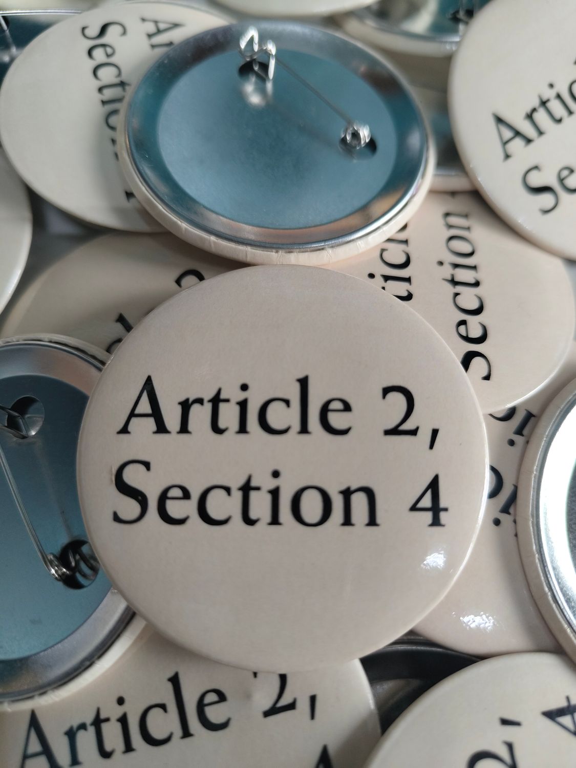 Article 2, Section 4 Button