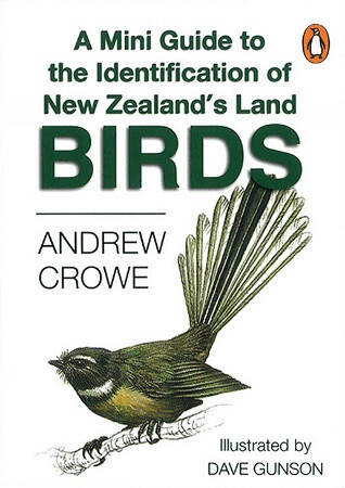 A Mini Guide to NZ Land Birds