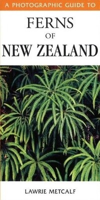 Photographic Guide to Ferns of NZ