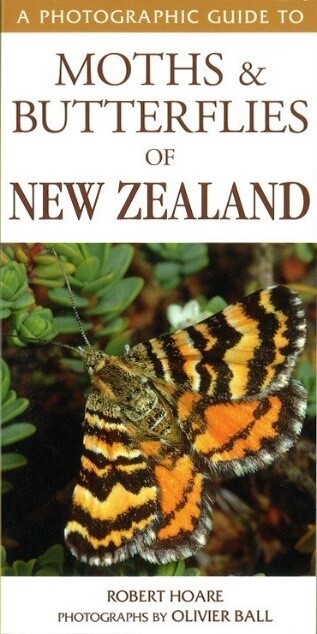 Photographic Guide to Moths & Butterflies of NZ