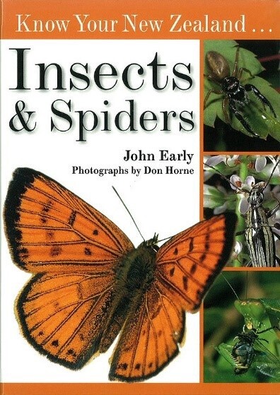 Know Your NZ Insects and Spiders