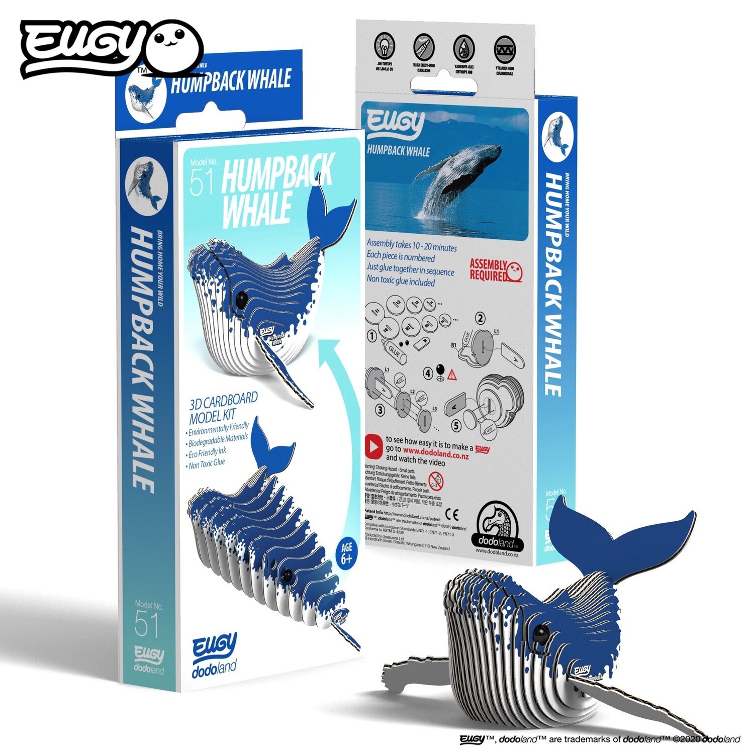 3D Cardboard Model- Humpback Whale