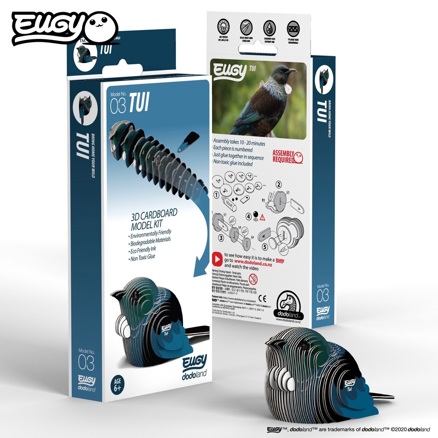 3D Cardboard Model- Tūī