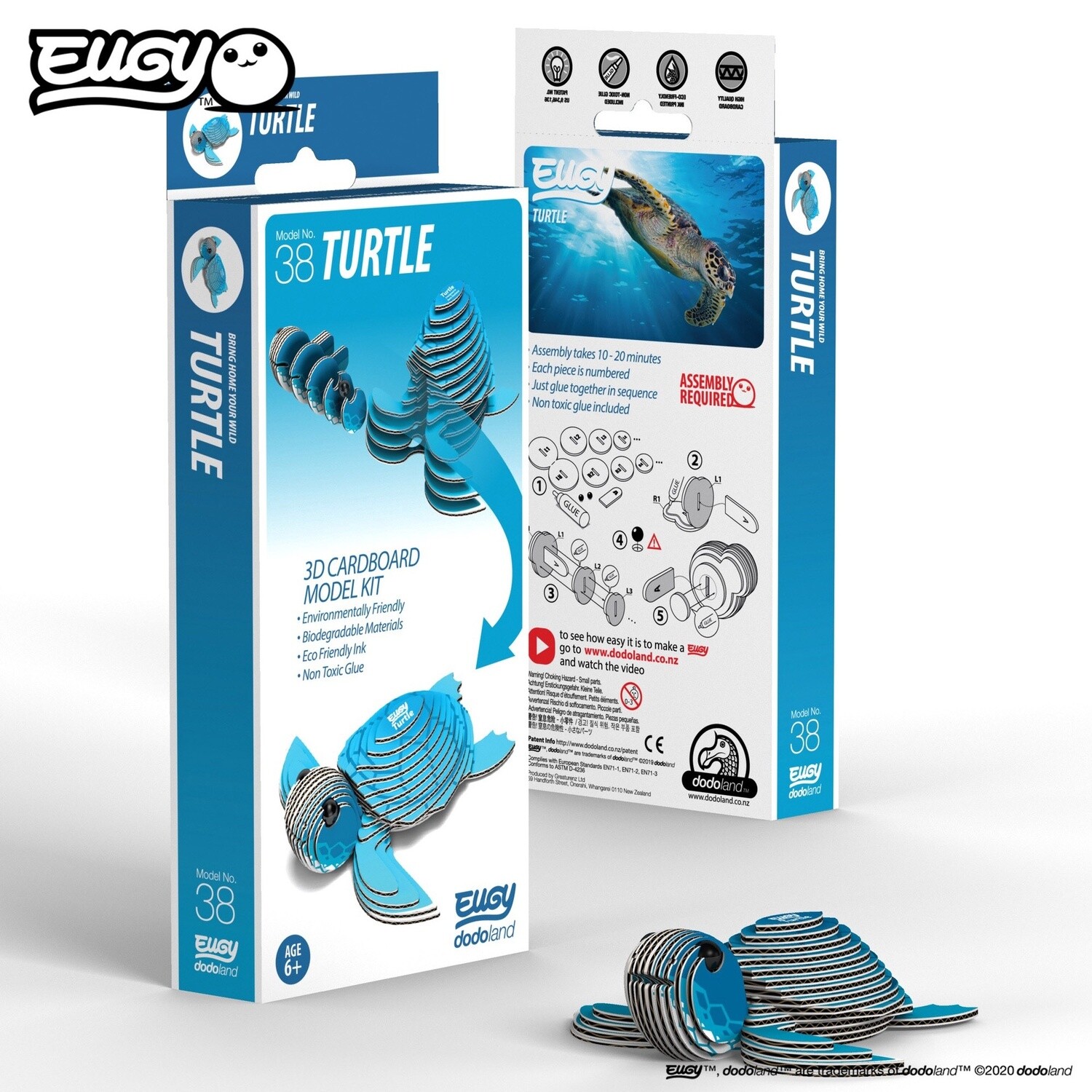 3D Cardboard Model- Turtle