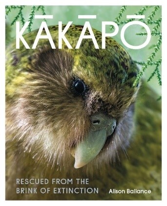 Kakapo - Rescued from Brink Extinction Kakapo - Rescued from Brink Extinction