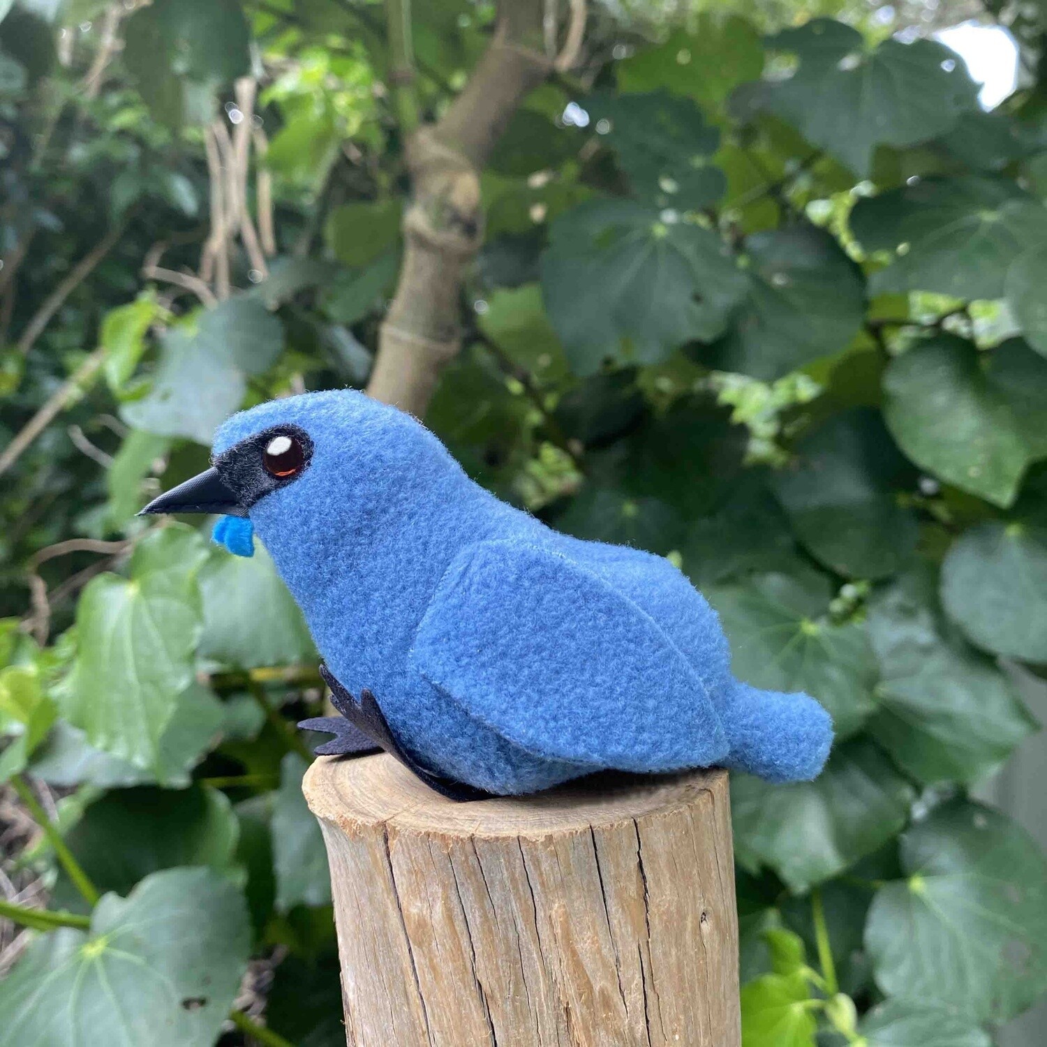 Beanie Toy- kōkako Beanie Toy- kōkako