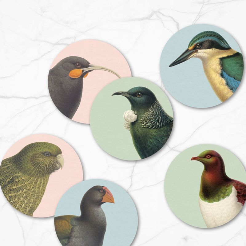 Coaster Set 6- Hushed Birds of NZ