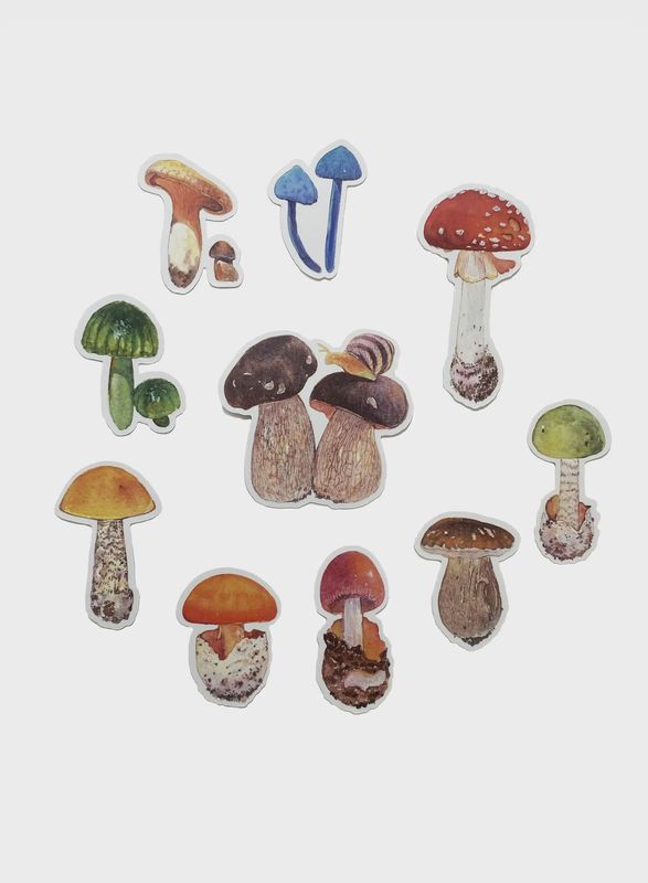 Sticker Pack- Fungi