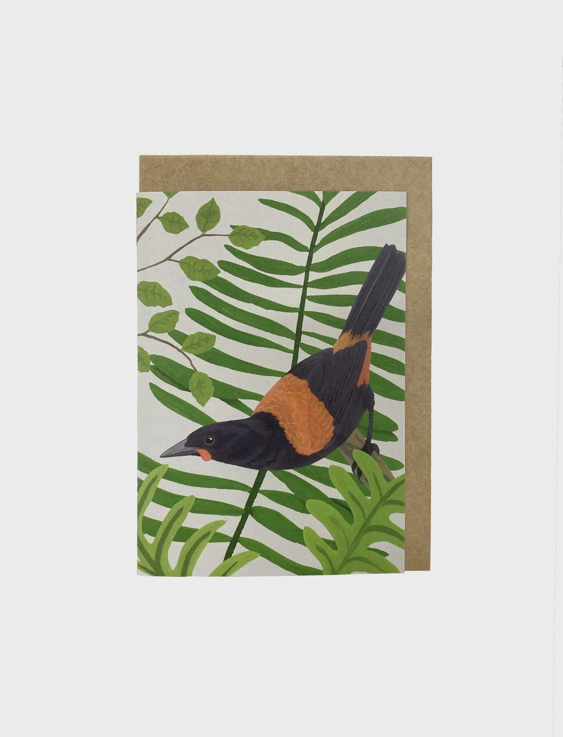 Greeting Card- Tīeke/Saddleback