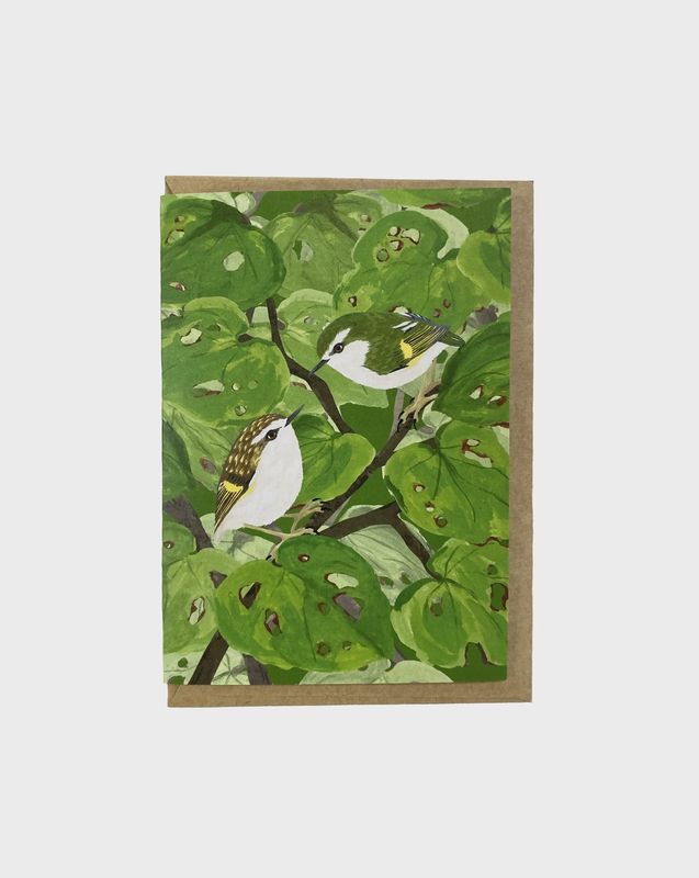 Greeting Card- titipounamu/Rifleman