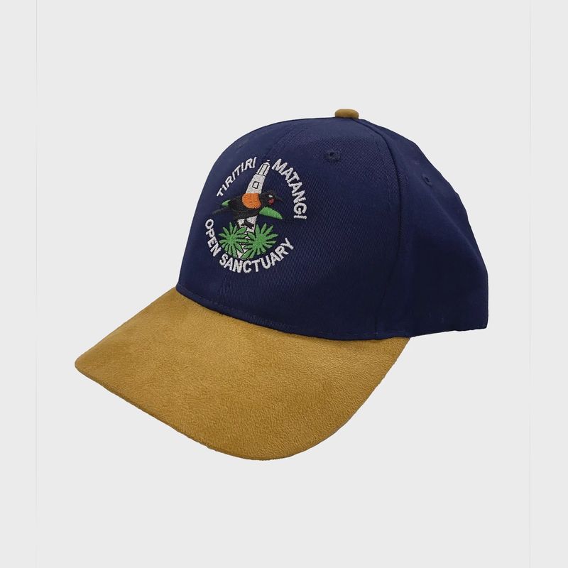 Cap- TMI, navy/tan