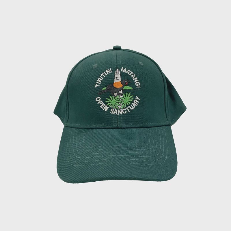 Cap- TMI, forest green