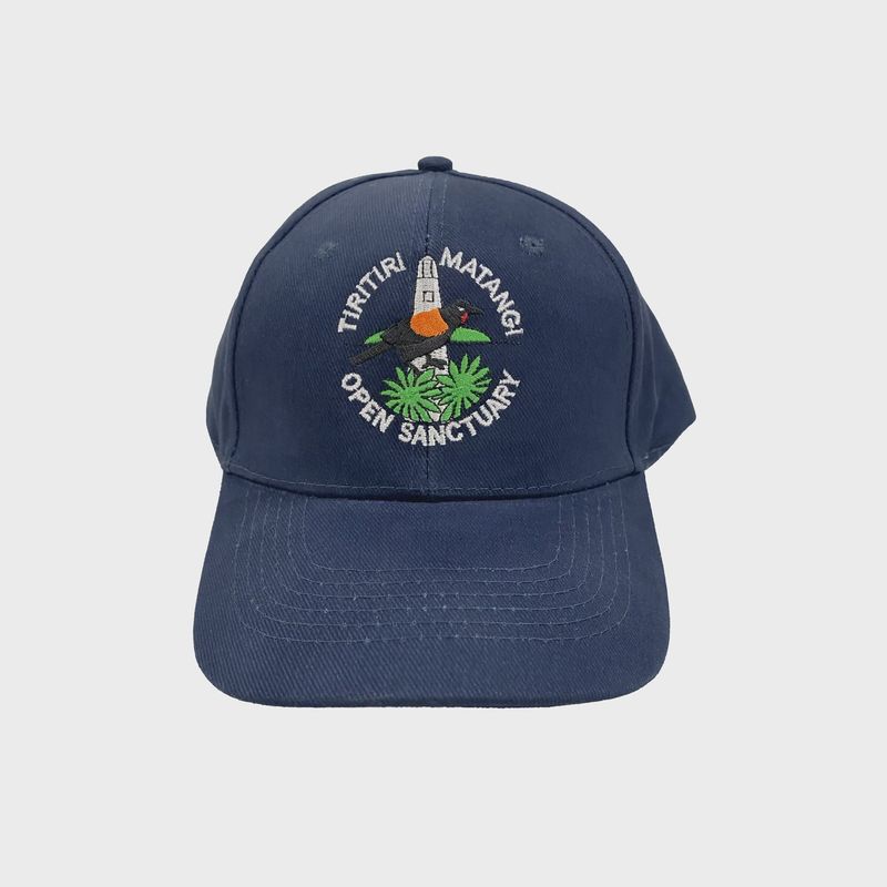 Cap- TMI, navy blue