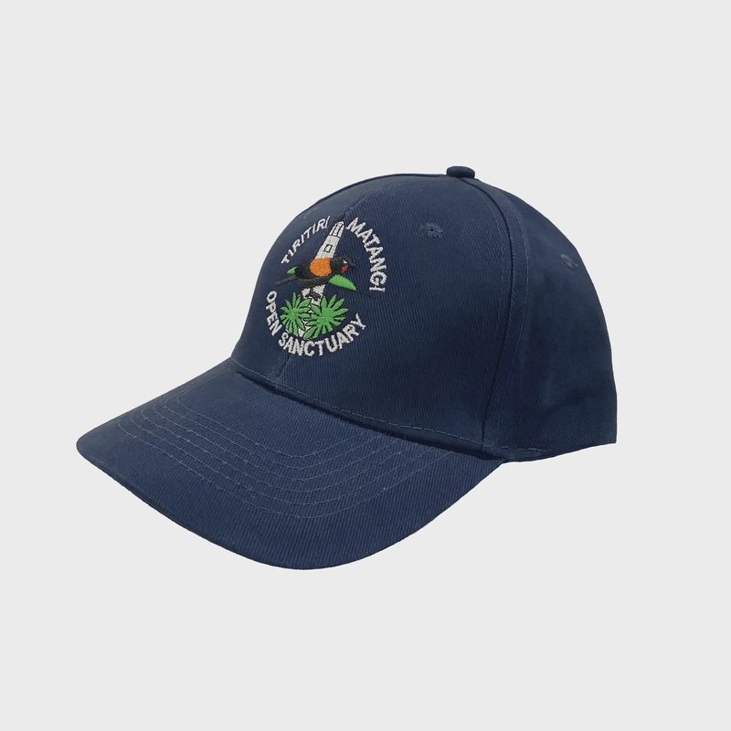 Cap- TMI, navy blue