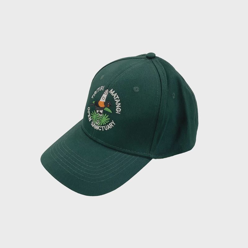 Cap- TMI, forest green