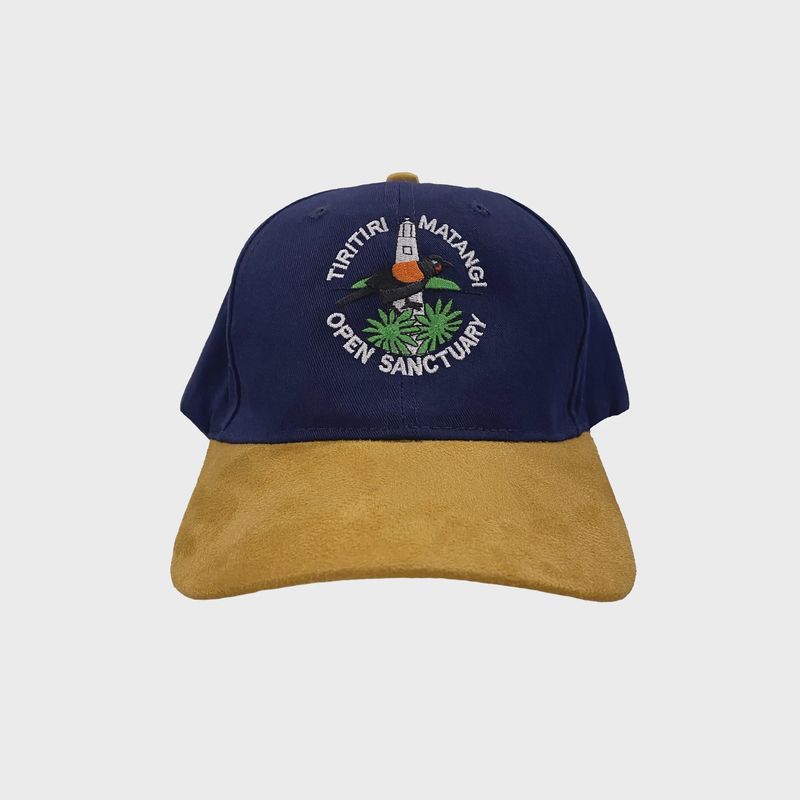 Cap- TMI, navy/tan