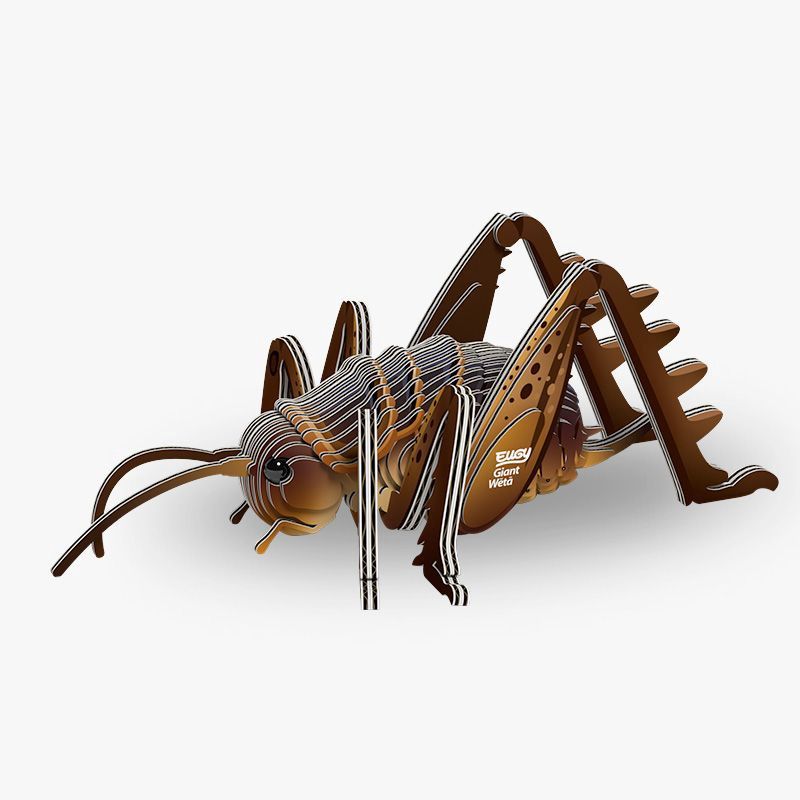 3D Cardboard Model- Giant wētā/wētāpunga