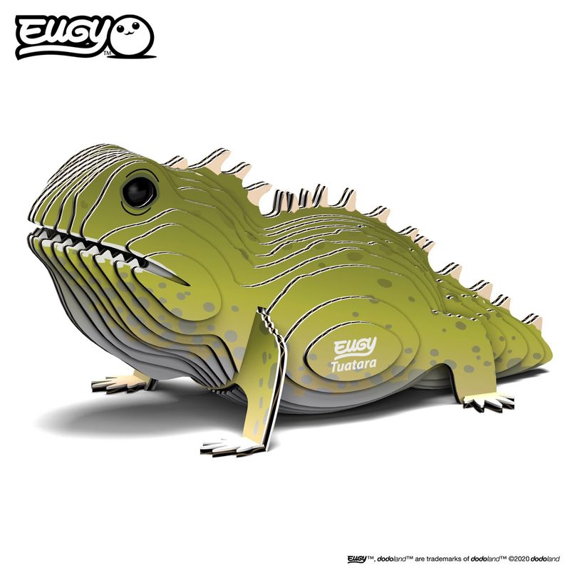 3D Cardboard Model- Tuatara