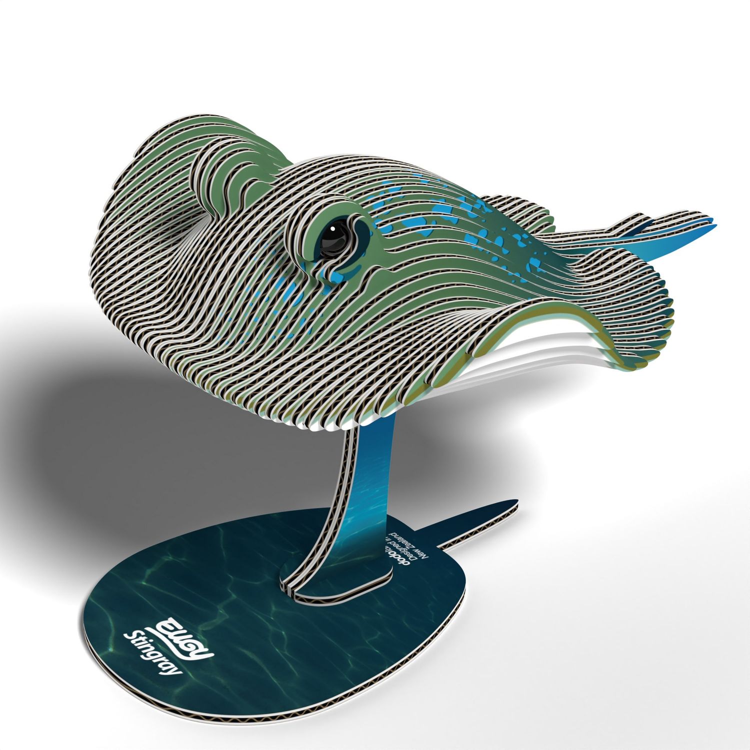 3D Cardboard Model- Ray/whai