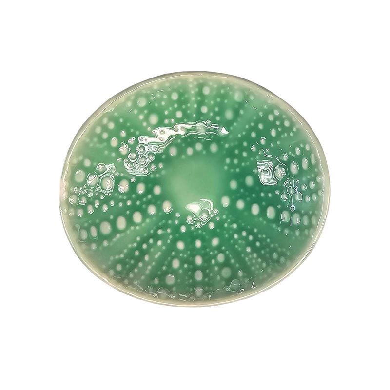 Bowl 10cm- Kina, aqua