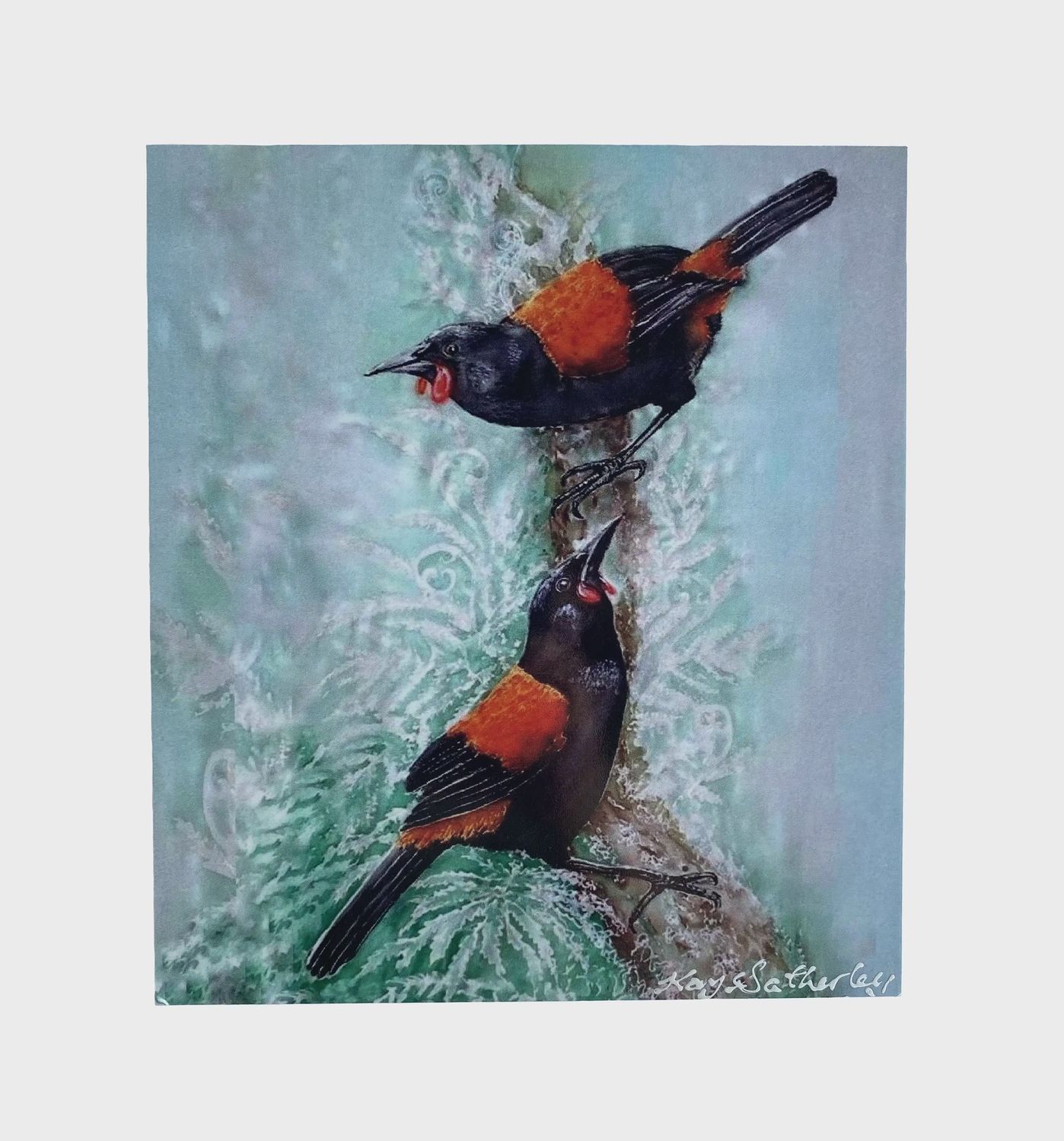 Art Panel by Kay- tīeke/Saddleback, med