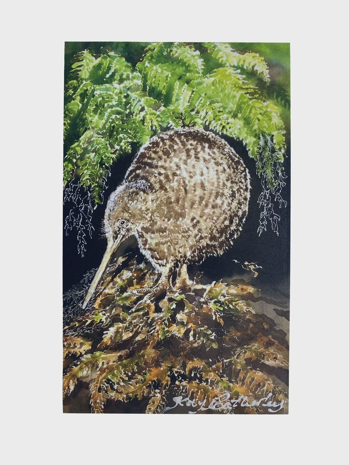 Art Panel by Kay- little spotted kiwi, small