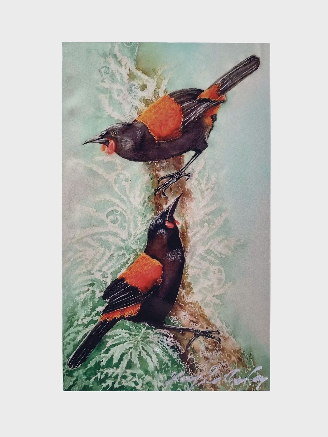 Art Panel by Kay- tīeke/Saddleback, small