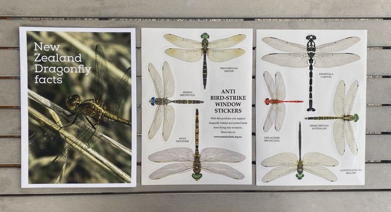Anti-birdstrike Stickers- NZ Dragonflies
