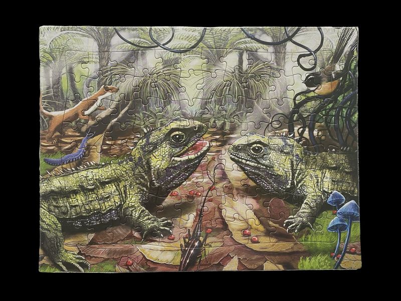 Jigsaw 96 pieces- tuatara