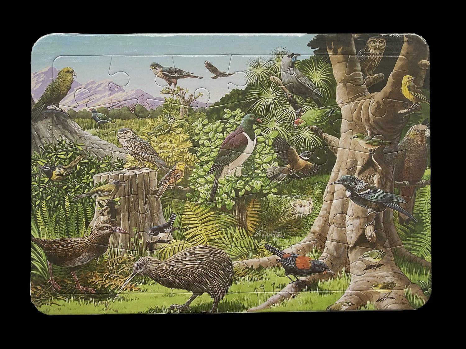 Tray Puzzle- Birds of NZ