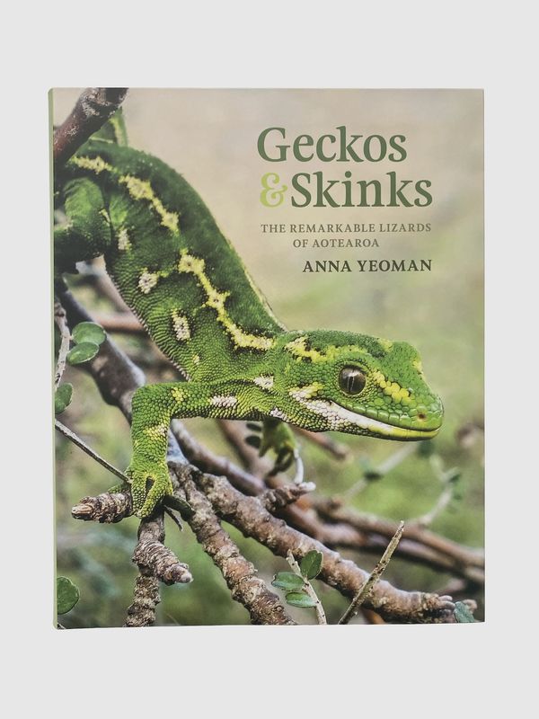 Geckos & Skinks