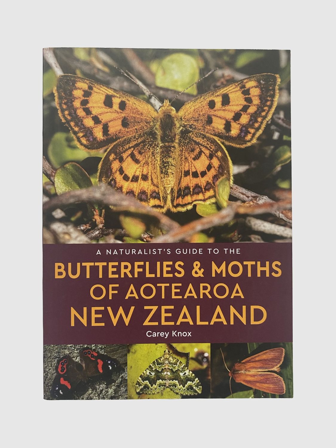 A Naturalists Guide to the Butterflies & Moths of Aotearoa NZ